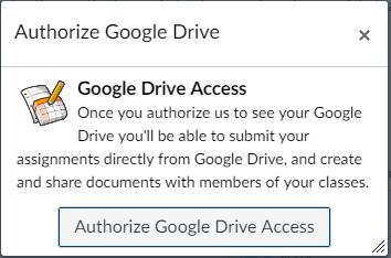 Google Drive Access 
